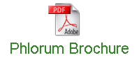 phlorum brochure