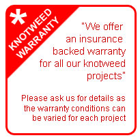 Japanese Knotweed