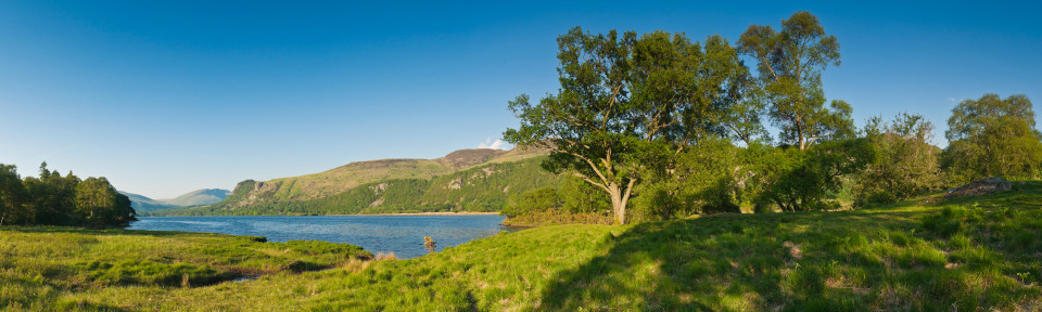 green landscape