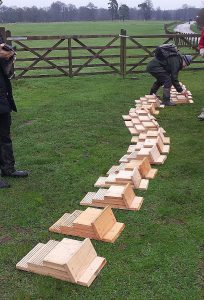 Bat boxes laid out ready for installation.