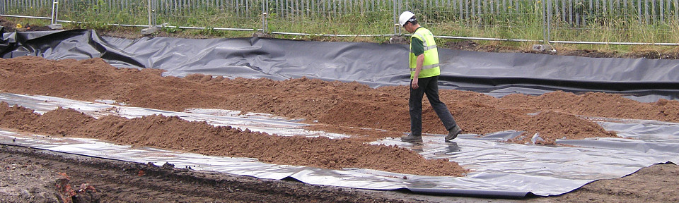 Japanese Knotweed Treatment