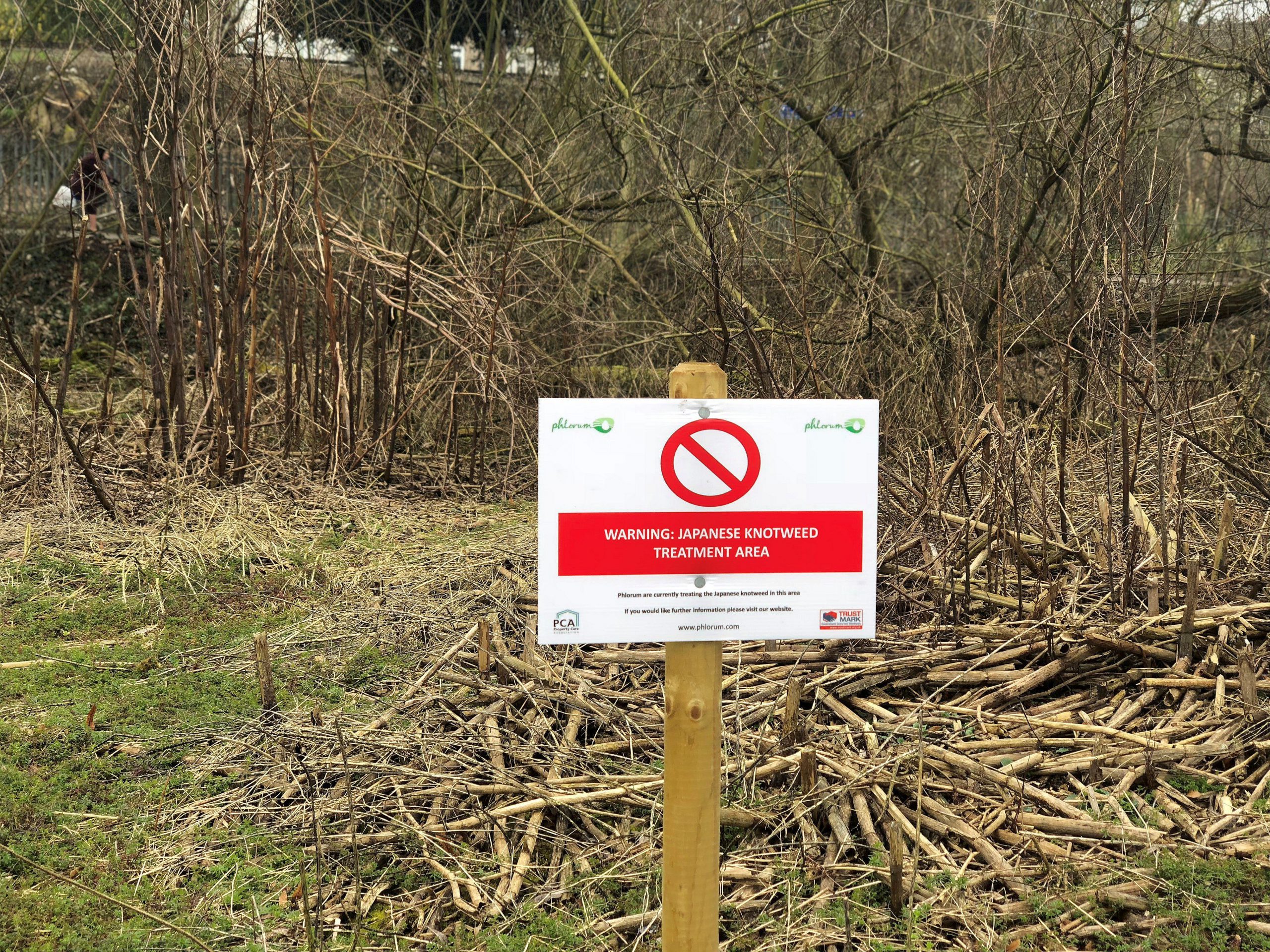 Warning Japanese Knotweed Treatment Area