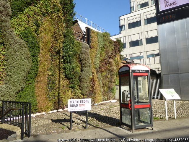 A green wall on Marylebone Road in London
