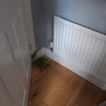 Bamboo damage to floorboards in house