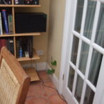 Japanese knotweed growing in a house